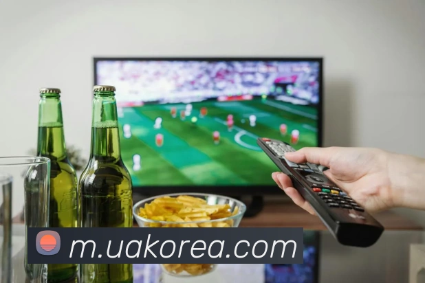 世界杯网址平台生态图